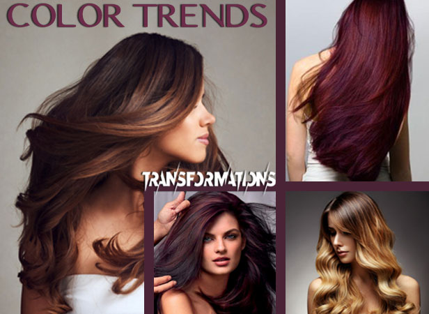 2020 Color Trends!